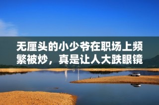 无厘头的小少爷在职场上频繁被炒，真是让人大跌眼镜