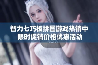 智力七巧板拼图游戏热销中 限时促销价格优惠活动