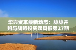 华兴资本最新动态：脉脉并购与战略投资双周报第27期分析报告