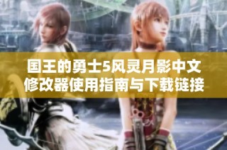 国王的勇士5风灵月影中文修改器使用指南与下载链接
