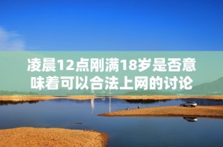 凌晨12点刚满18岁是否意味着可以合法上网的讨论