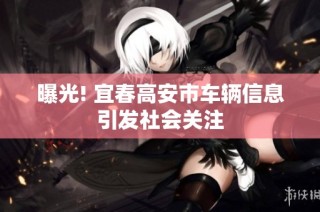 曝光! 宜春高安市车辆信息引发社会关注