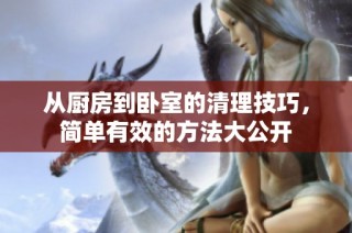 从厨房到卧室的清理技巧，简单有效的方法大公开