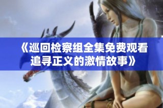 《巡回检察组全集免费观看 追寻正义的激情故事》