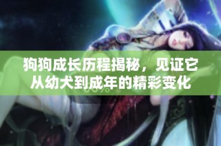 狗狗成长历程揭秘，见证它从幼犬到成年的精彩变化