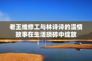 老王维修工与林诗诗的温情故事在生活琐碎中绽放