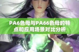 PA6色母与PA66色母的特点和应用场景对比分析