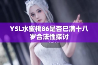 YSL水蜜桃86是否已满十八岁合法性探讨