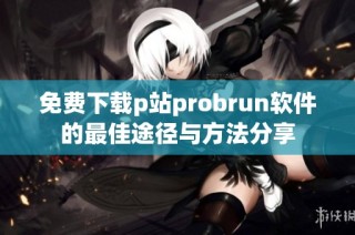 免费下载p站probrun软件的最佳途径与方法分享