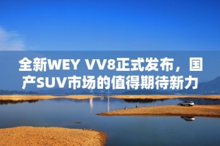 全新WEY VV8正式发布，国产SUV市场的值得期待新力量