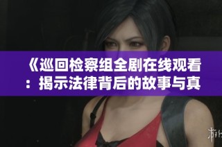 《巡回检察组全剧在线观看：揭示法律背后的故事与真相》