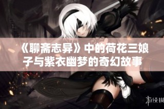 《聊斋志异》中的荷花三娘子与紫衣幽梦的奇幻故事