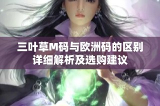 三叶草M码与欧洲码的区别详细解析及选购建议
