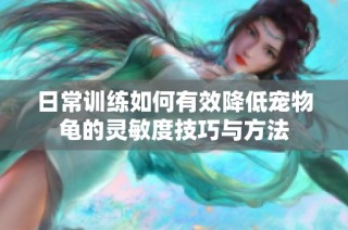 日常训练如何有效降低宠物龟的灵敏度技巧与方法