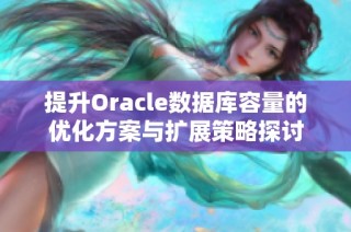 提升Oracle数据库容量的优化方案与扩展策略探讨