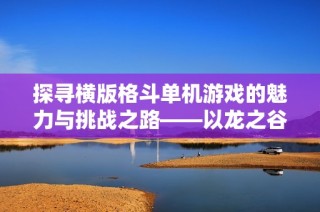 探寻横版格斗单机游戏的魅力与挑战之路——以龙之谷和无双为例