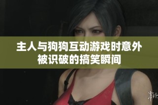 主人与狗狗互动游戏时意外被识破的搞笑瞬间