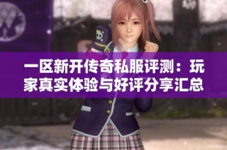 一区新开传奇私服评测：玩家真实体验与好评分享汇总