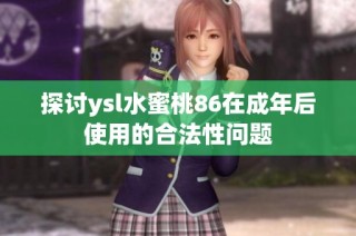探讨ysl水蜜桃86在成年后使用的合法性问题