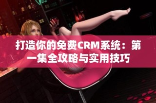 打造你的免费CRM系统：第一集全攻略与实用技巧