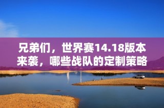 兄弟们，世界赛14.18版本来袭，哪些战队的定制策略最强大？