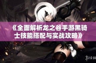 《全面解析龙之谷手游黑骑士技能搭配与实战攻略》