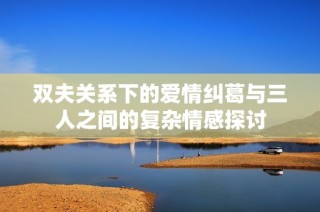 双夫关系下的爱情纠葛与三人之间的复杂情感探讨