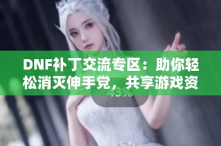 DNF补丁交流专区：助你轻松消灭伸手党，共享游戏资源！