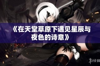《在天堂草原下遇见星辰与夜色的诗意》