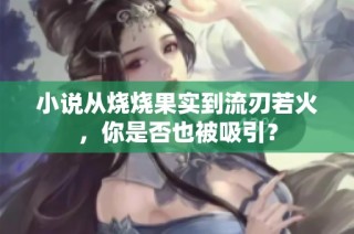 小说从烧烧果实到流刃若火，你是否也被吸引？