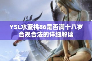 YSL水蜜桃86是否满十八岁合规合法的详细解读