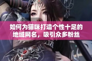 如何为猫咪打造个性十足的地域网名，吸引众多粉丝