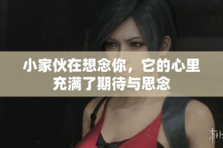 小家伙在想念你，它的心里充满了期待与思念