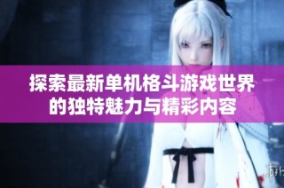 探索最新单机格斗游戏世界的独特魅力与精彩内容