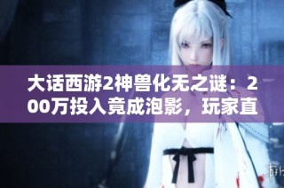 大话西游2神兽化无之谜：200万投入竟成泡影，玩家直言无奈