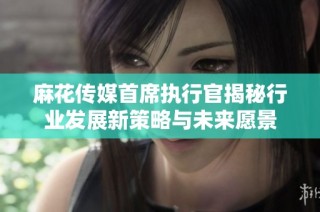 麻花传媒首席执行官揭秘行业发展新策略与未来愿景