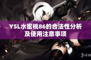 YSL水蜜桃86的合法性分析及使用注意事项
