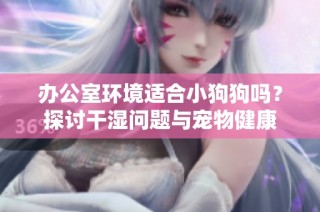 办公室环境适合小狗狗吗？探讨干湿问题与宠物健康