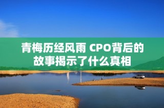 青梅历经风雨 CPO背后的故事揭示了什么真相