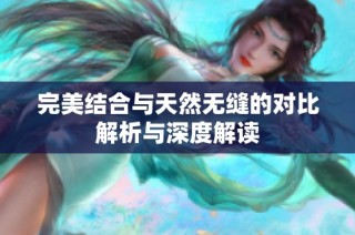 完美结合与天然无缝的对比解析与深度解读