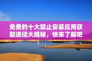免费的十大禁止安装应用获取途径大揭秘，快来了解吧