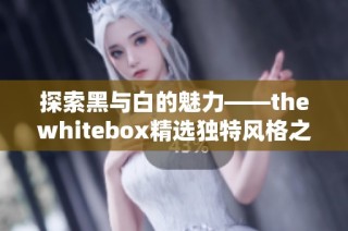探索黑与白的魅力——thewhitebox精选独特风格之旅