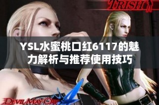 YSL水蜜桃口红6117的魅力解析与推荐使用技巧