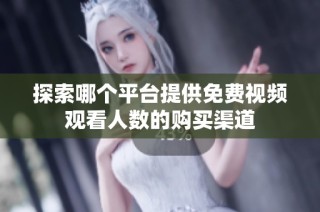 探索哪个平台提供免费视频观看人数的购买渠道