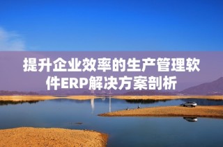 提升企业效率的生产管理软件ERP解决方案剖析