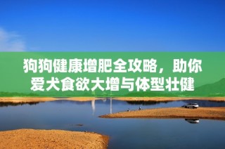 狗狗健康增肥全攻略，助你爱犬食欲大增与体型壮健