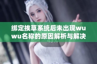 绑定挨草系统后未出现wuwu名称的原因解析与解决方案