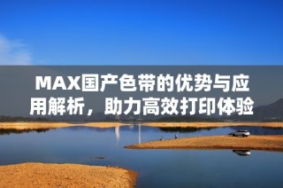 MAX国产色带的优势与应用解析，助力高效打印体验