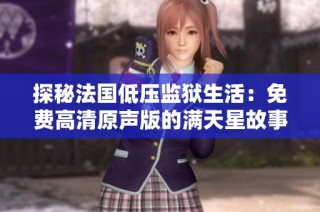 探秘法国低压监狱生活：免费高清原声版的满天星故事
