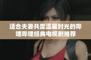 适合夫妻共度温馨时光的哔哩哔哩经典电视剧推荐
